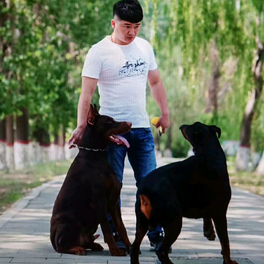 职 业 裁 耳 《高铁》