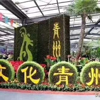青州春兴花卉苗木