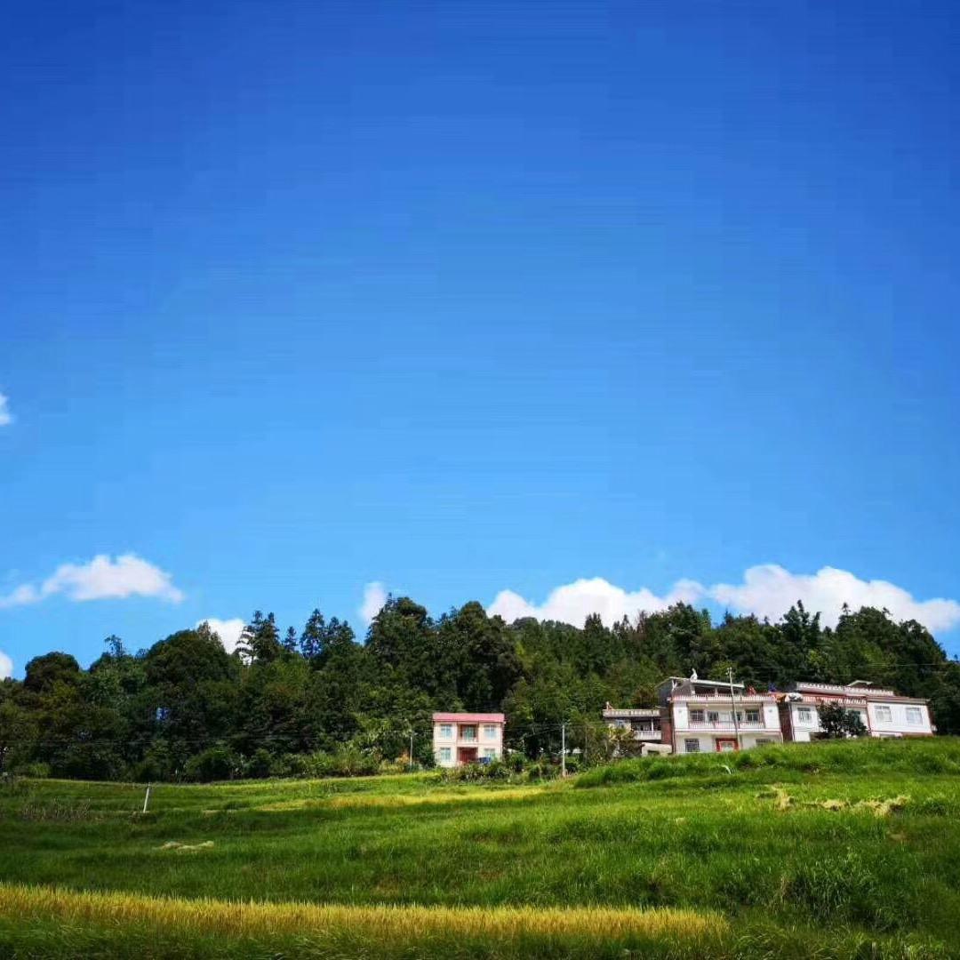 乡村爱情