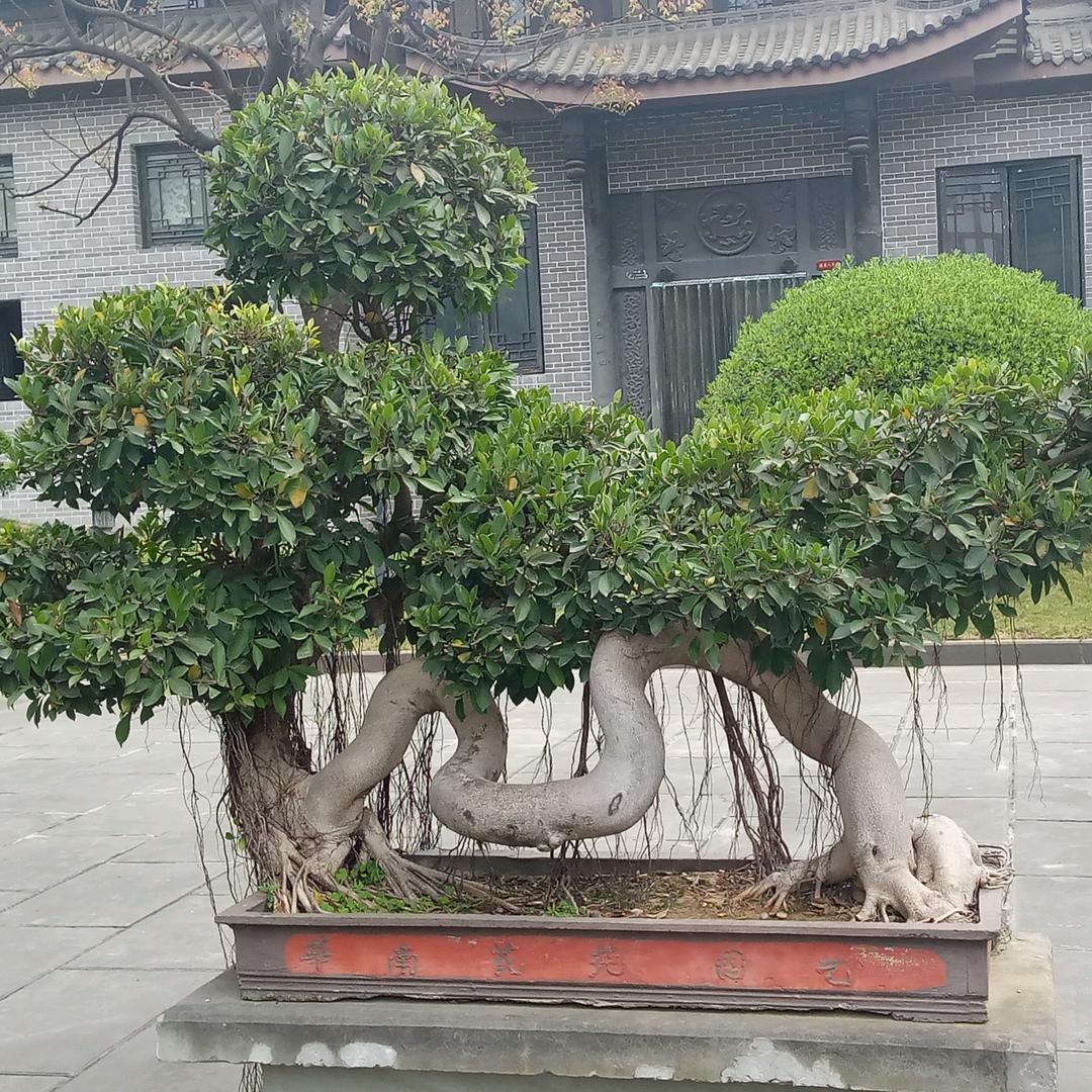 沙漠中的水滴