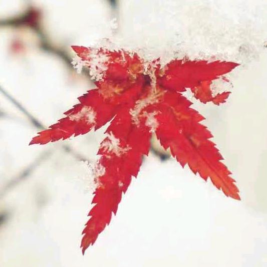 武汉同城礼品回收