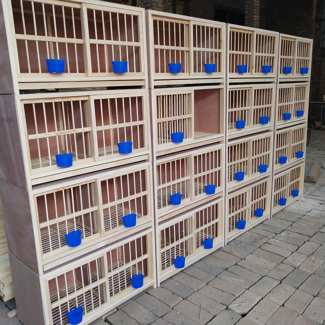 玖诚鸽具