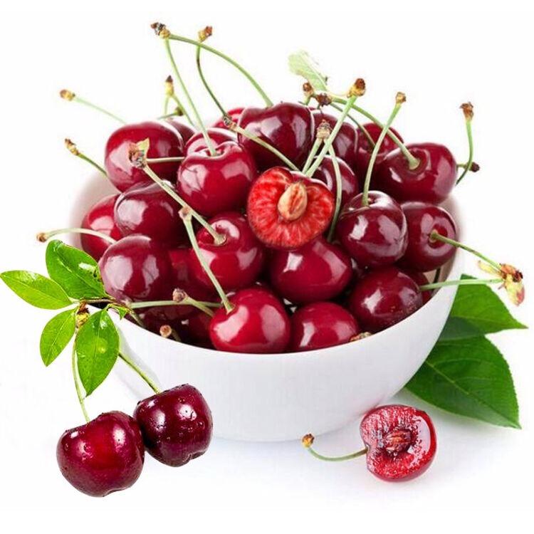 红樱桃🍒（珊珊）💃🏻乔我是王👑