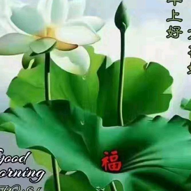 悔