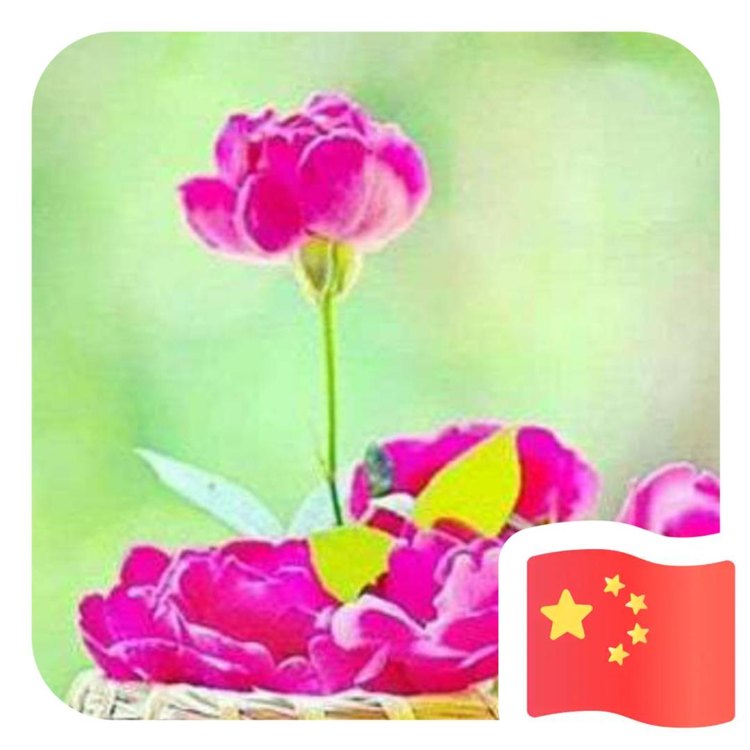 铝厂京东家电彩虹糖