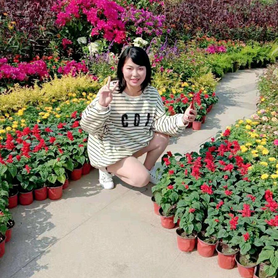 安妮