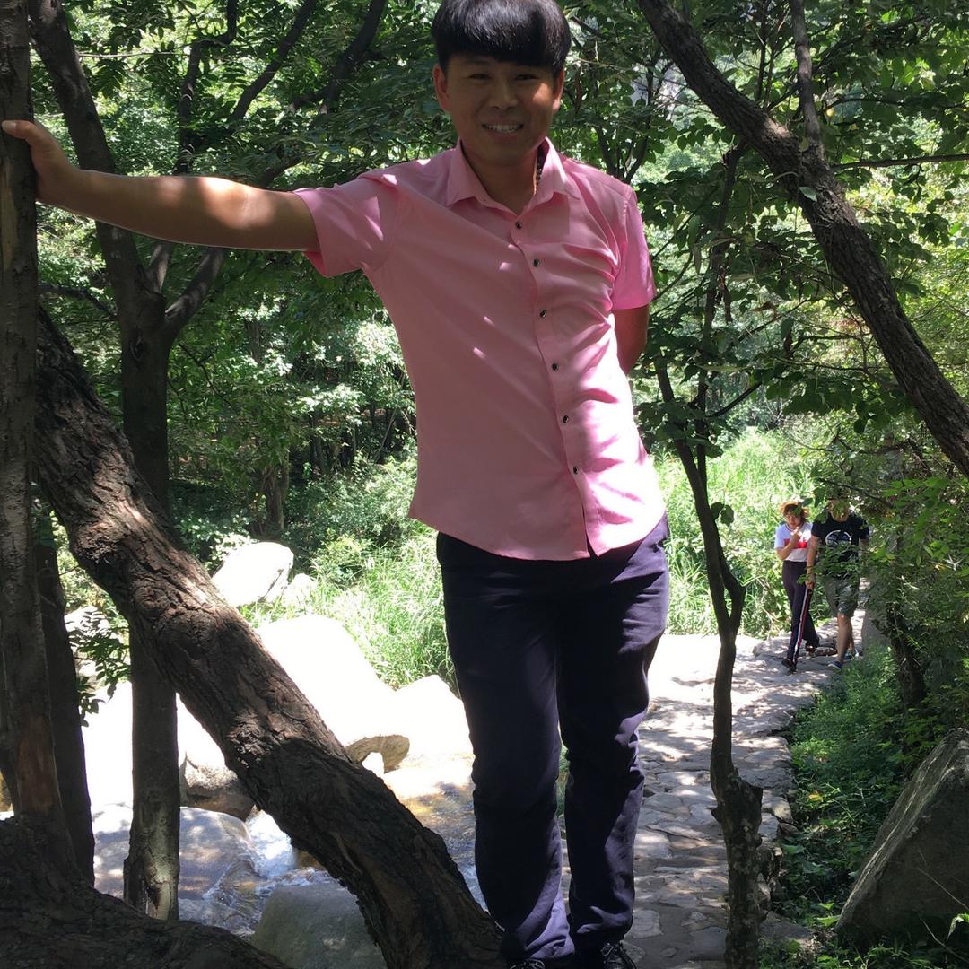 程氏金蝉