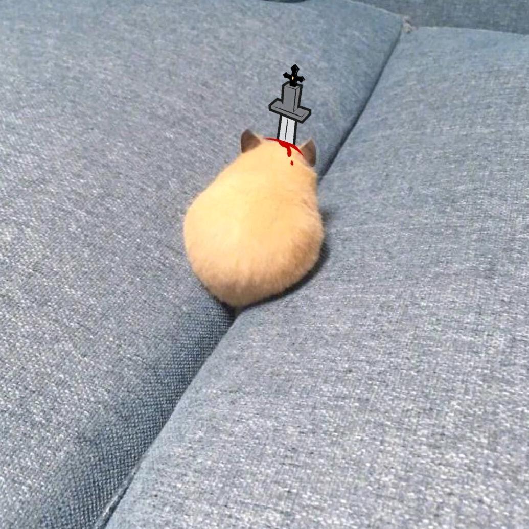 陆离i