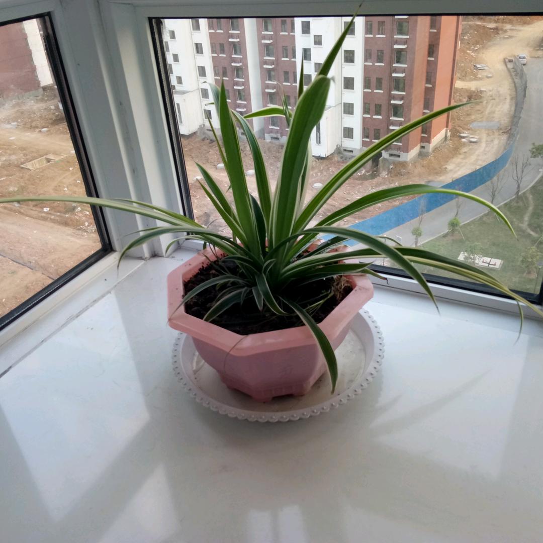 永葆青春