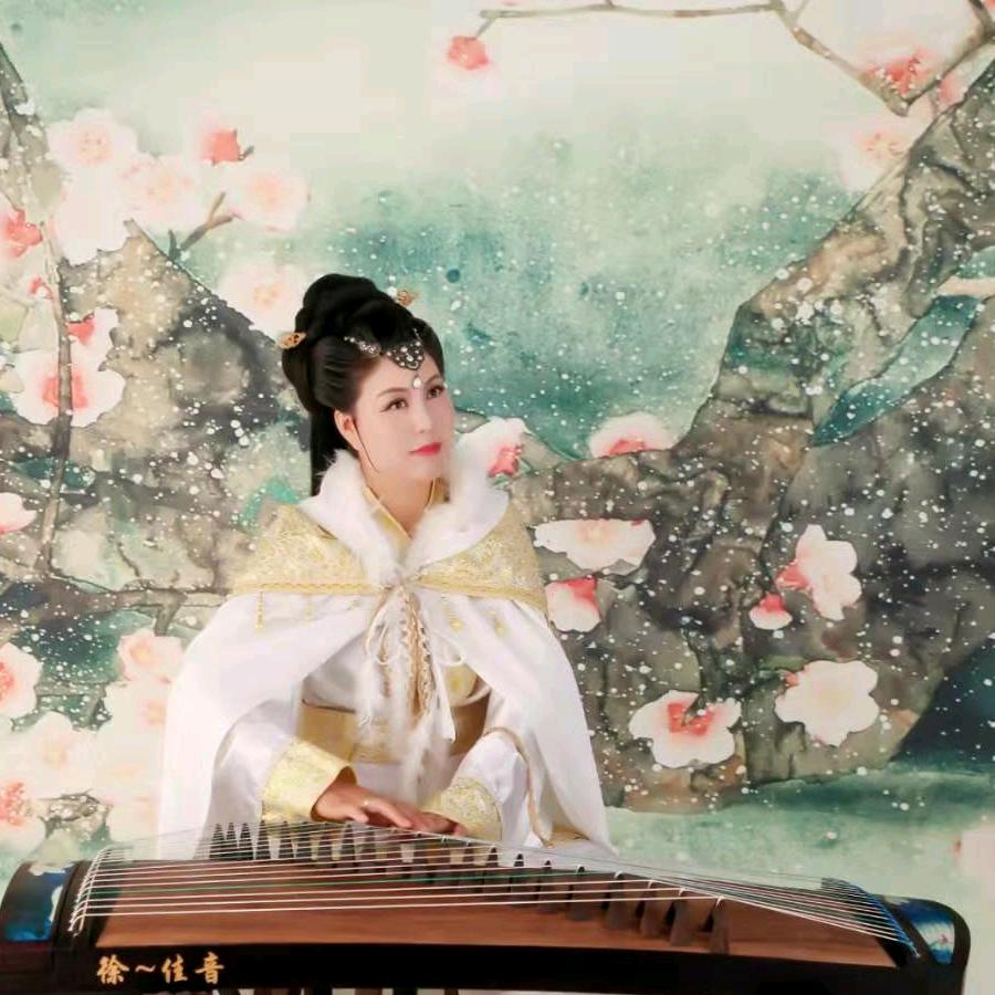 兰考县艺声乐器厂！不定时直播