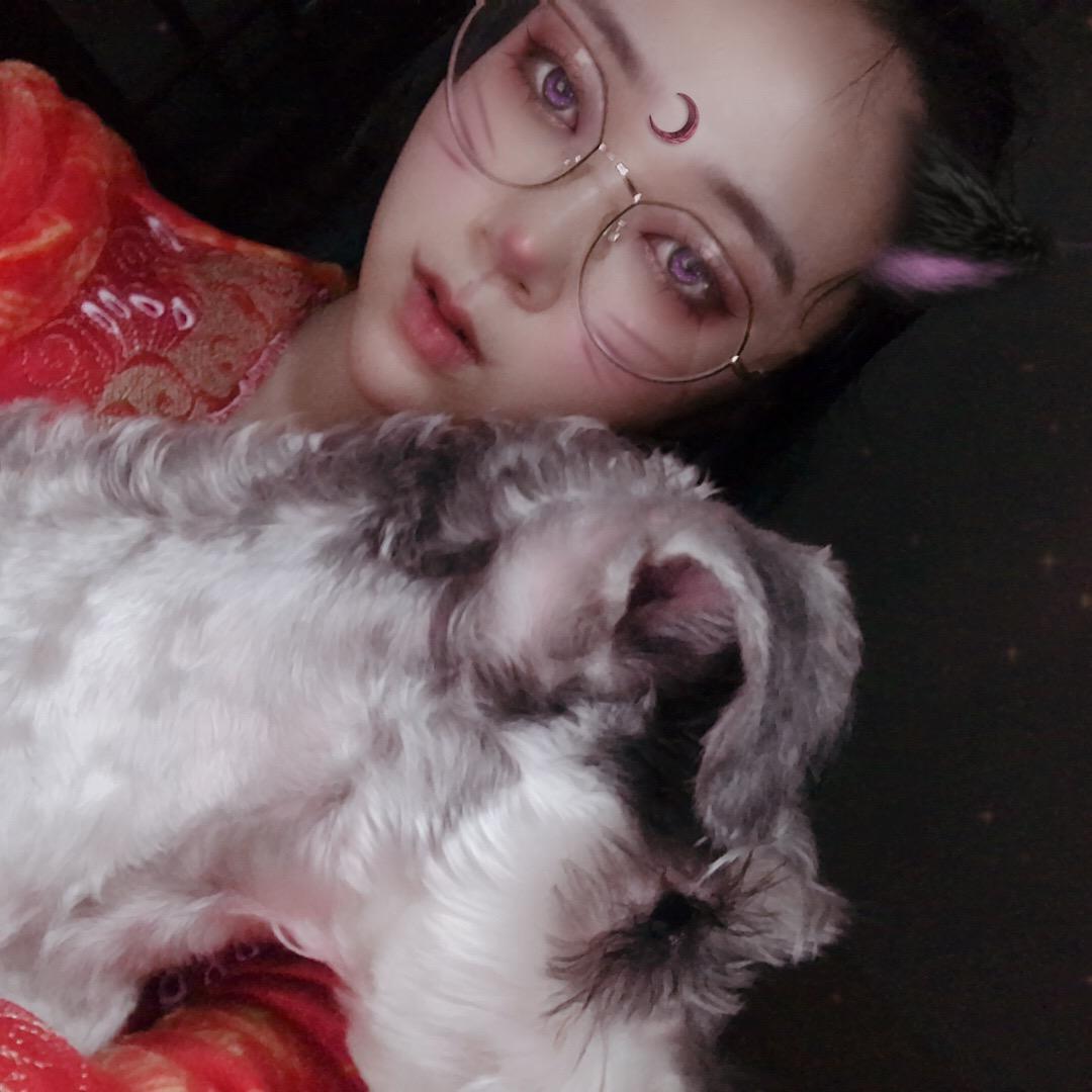 小鹿