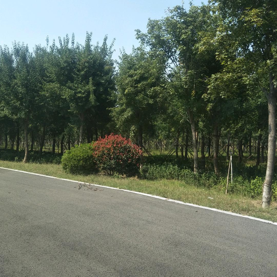 默默地等待