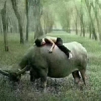 华哥
