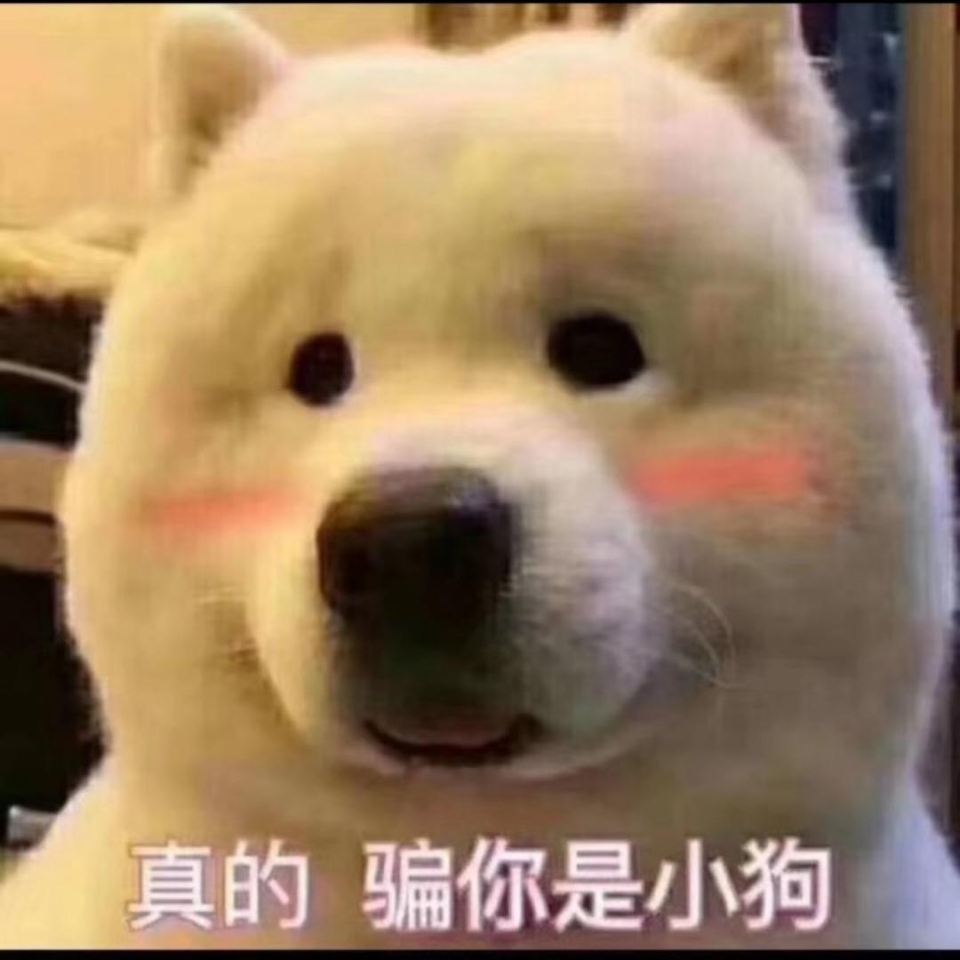 东阿
