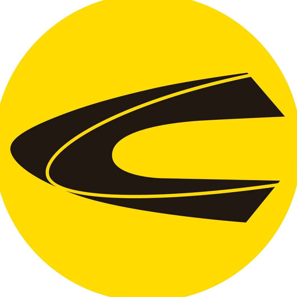 camel_active