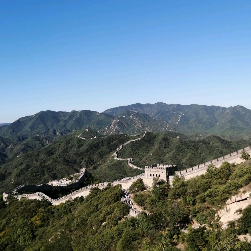 龙行虎步（钢厂直销）