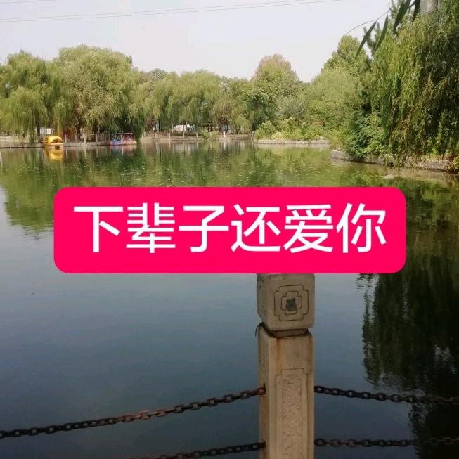 今生有你