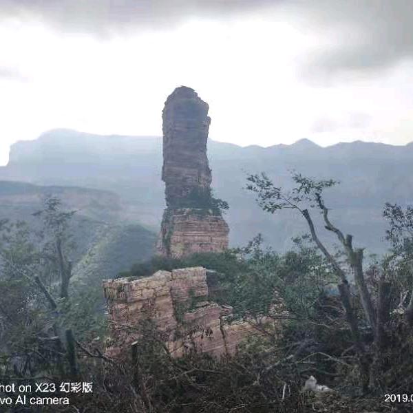 ⊱执着为你⊰