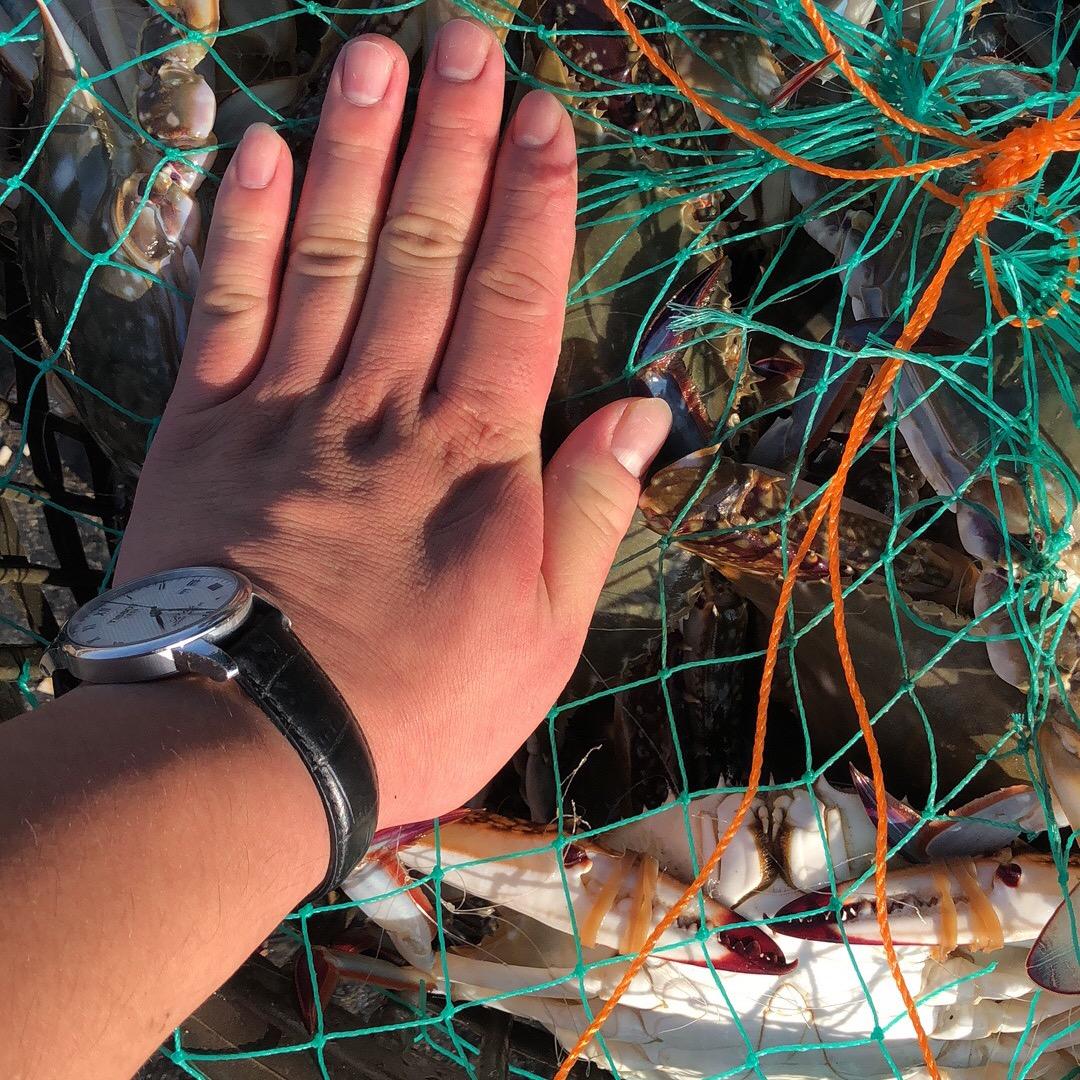 海鲜水产批发