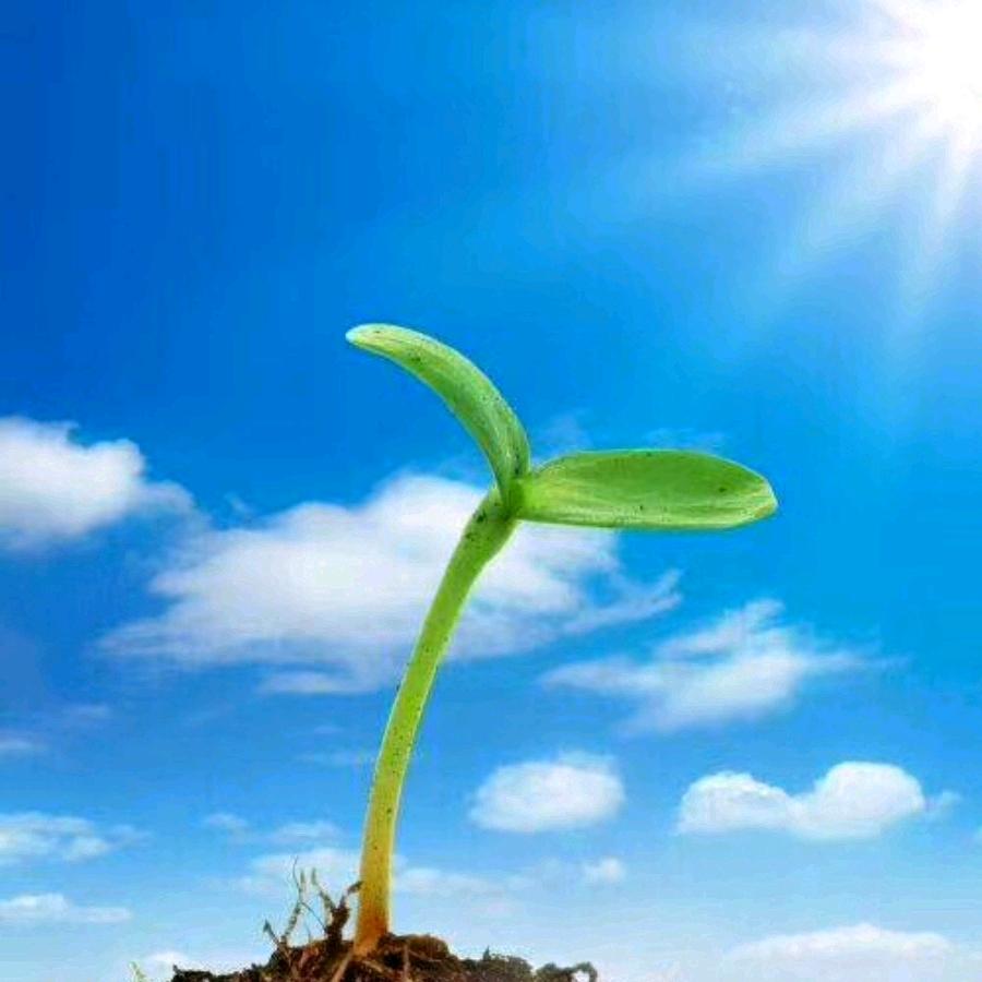 林小天