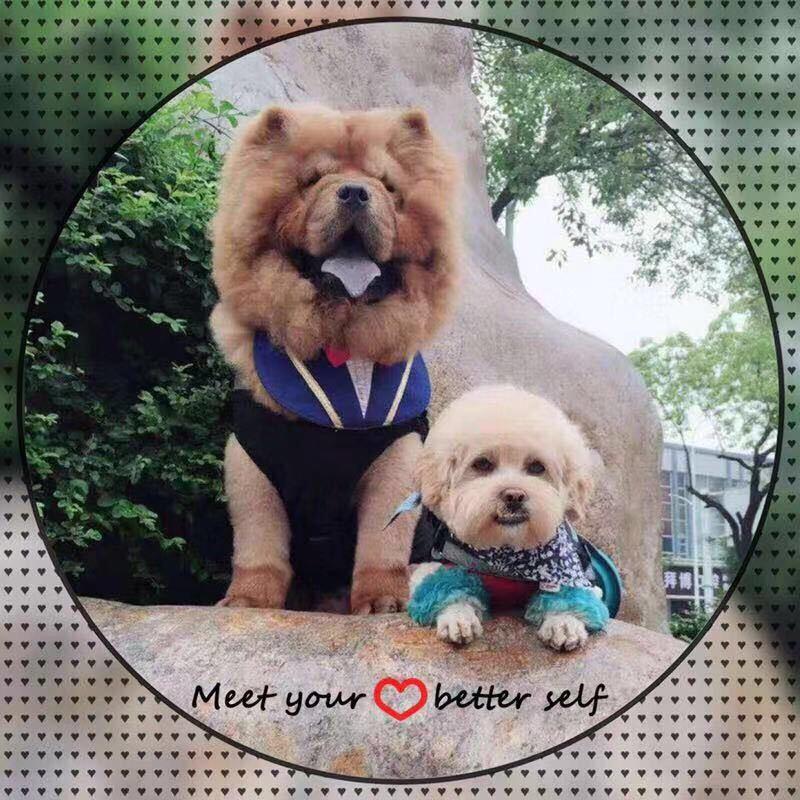 🐻社会我球🐻