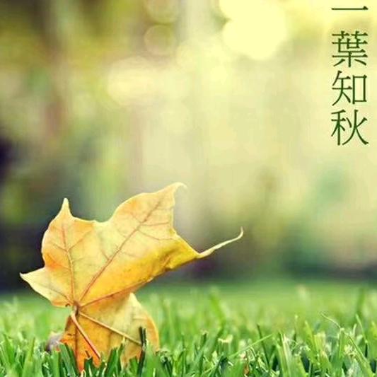 心愿（夺宝奇兵）