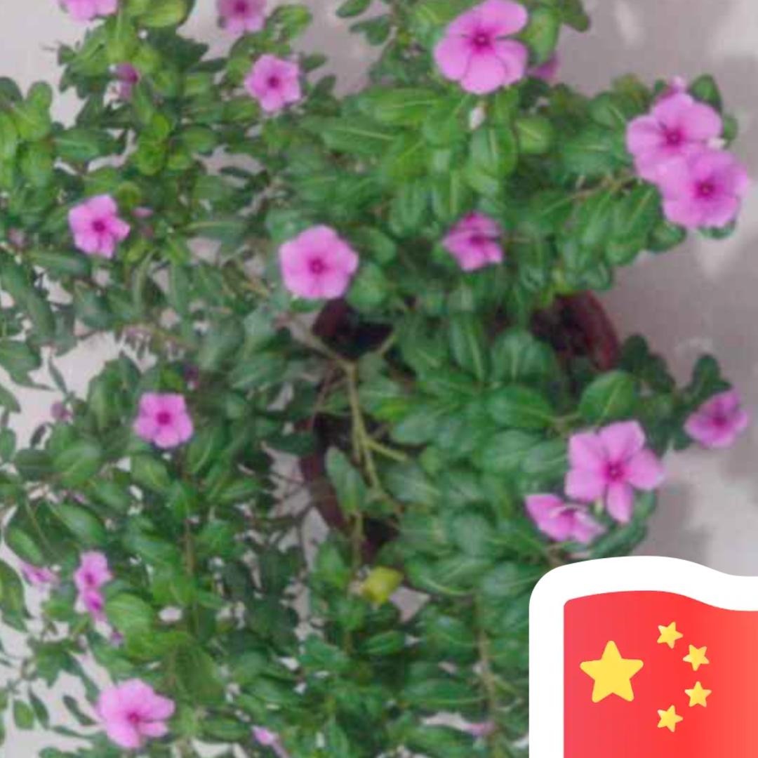 唯一，老二拉~。