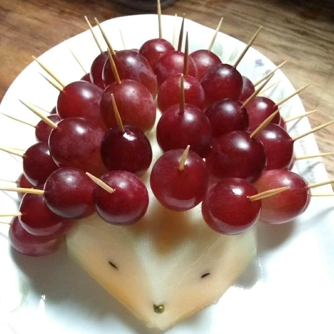 没有记忆的鱼