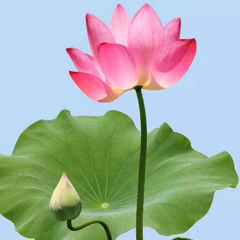 好