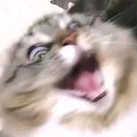 沐