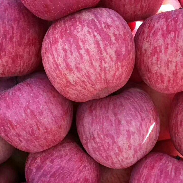 小贾苹果代收大全合作社