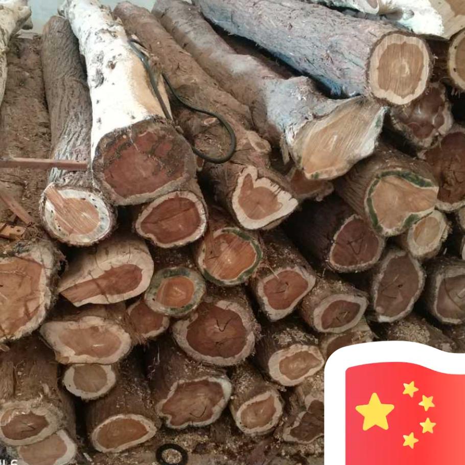 材哥