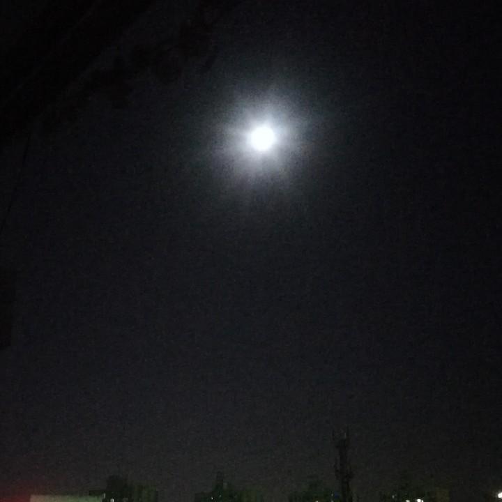 达达