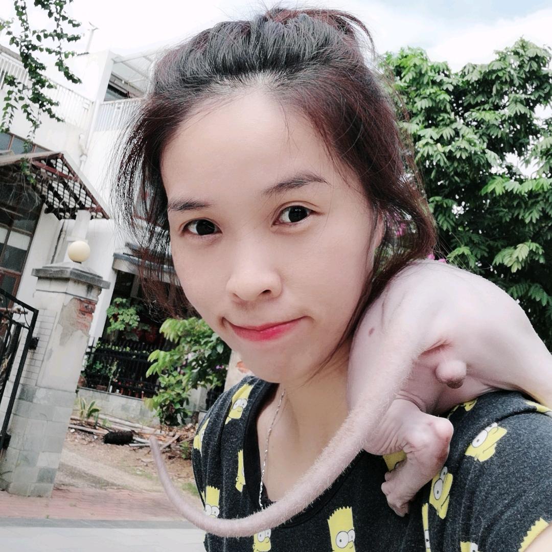 塔塔爱撸猫