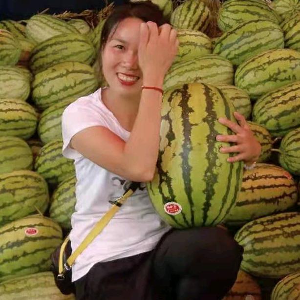 励志杨杨_丹棱柑橘