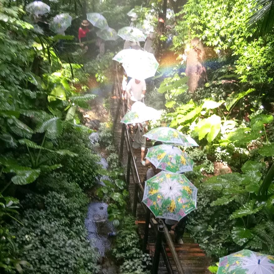 已重置