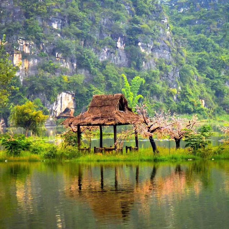 🌸🌸喔喔🌸🌸