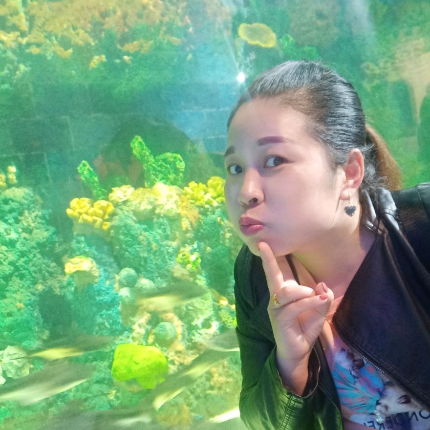 ☀☀歡樂姐☀☀