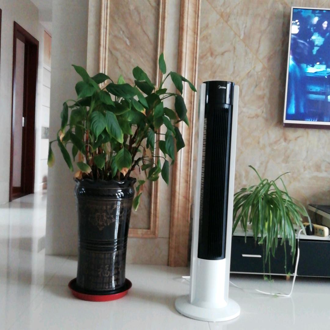 羊羊羊枫林听雨