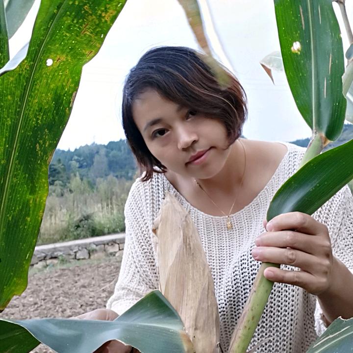 珍
