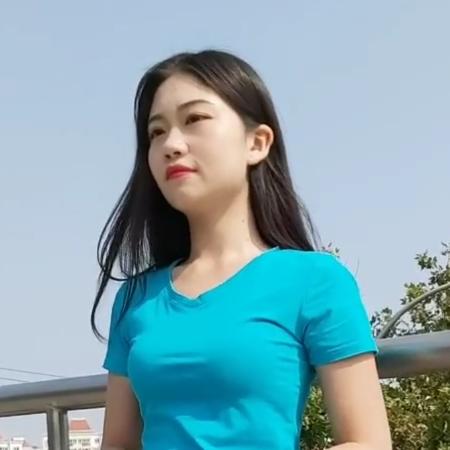 凤凤11