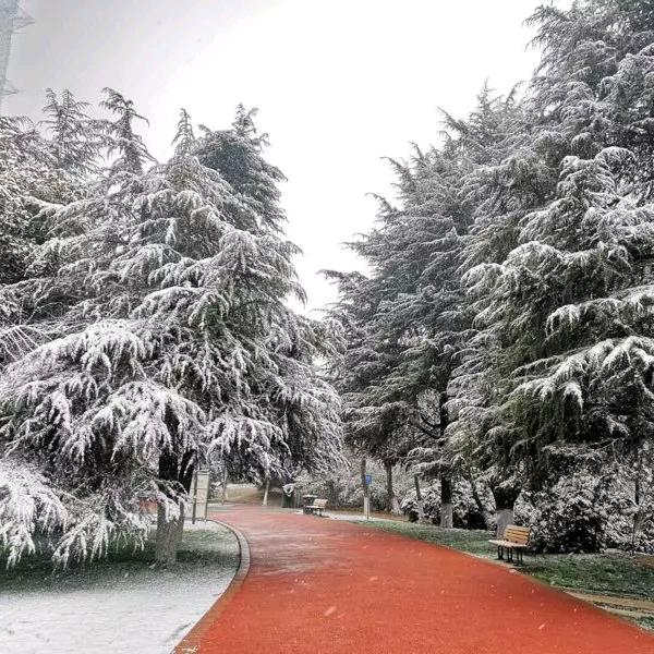 给自己一个微笑