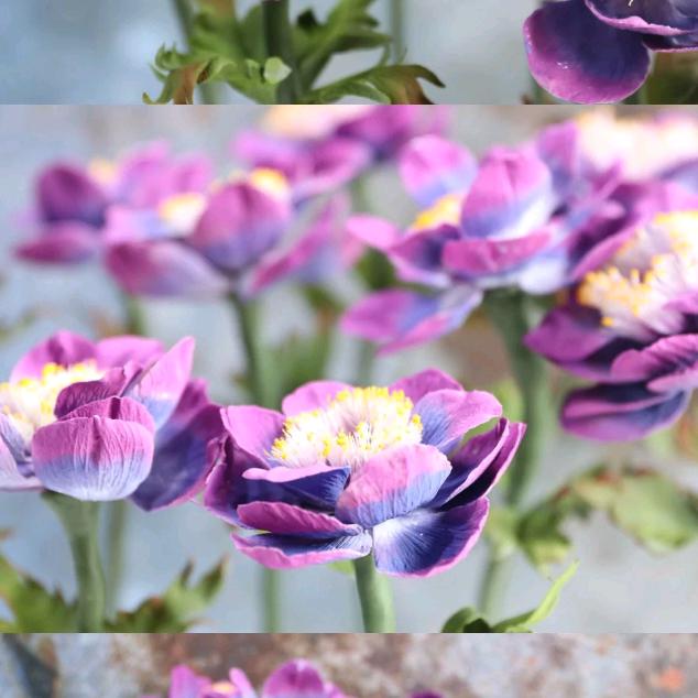 🍀绿色↗心情🍀