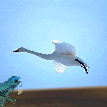 举杯消愁意更浓