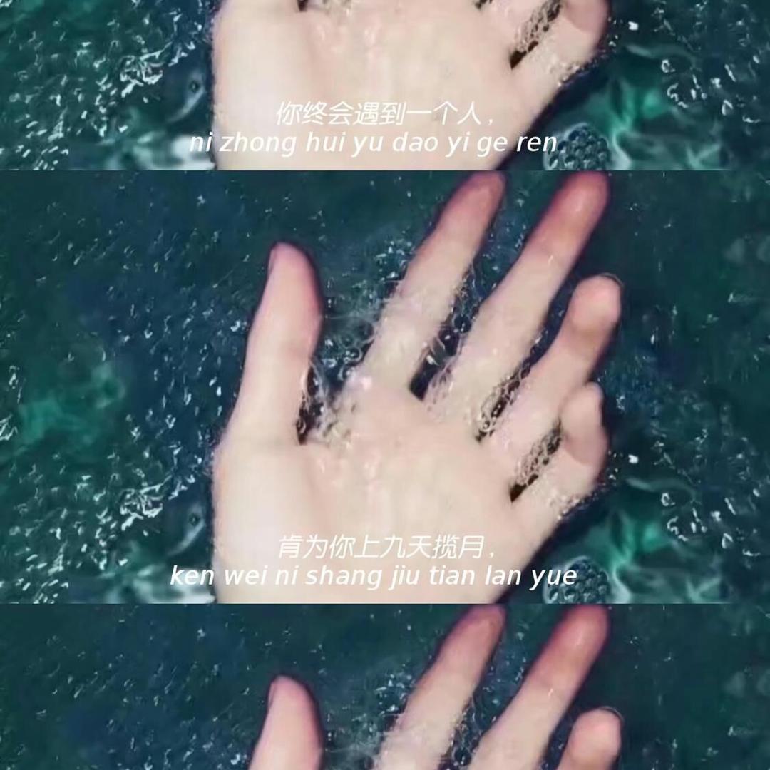 M.Y