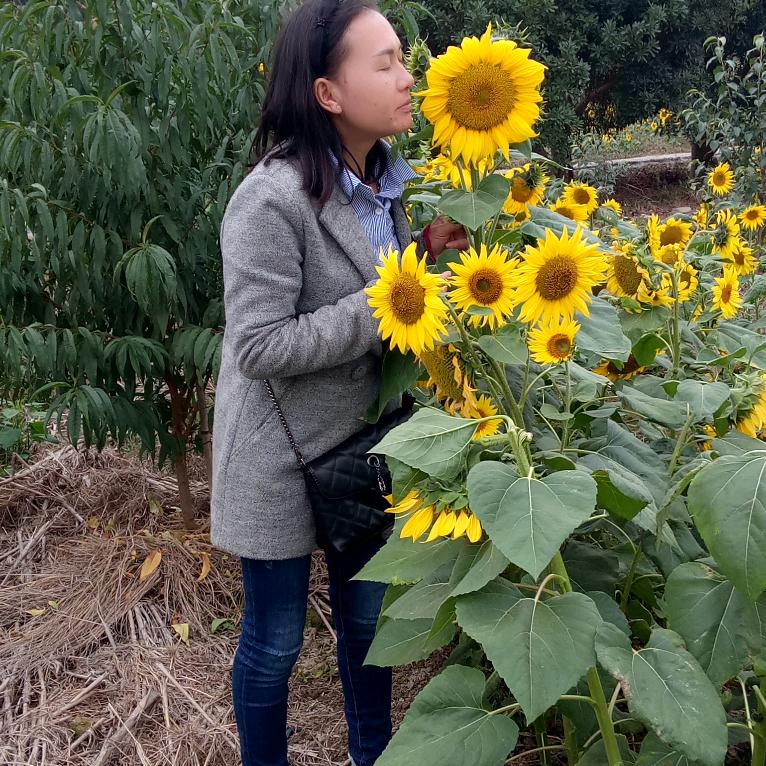 雾里看花