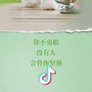 路边的过客