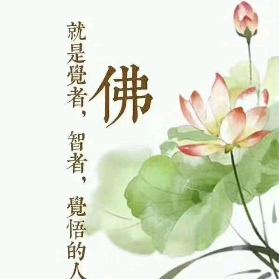 随缘
