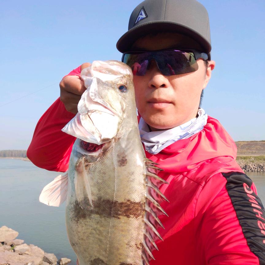 资江新鳜族_剑锋
