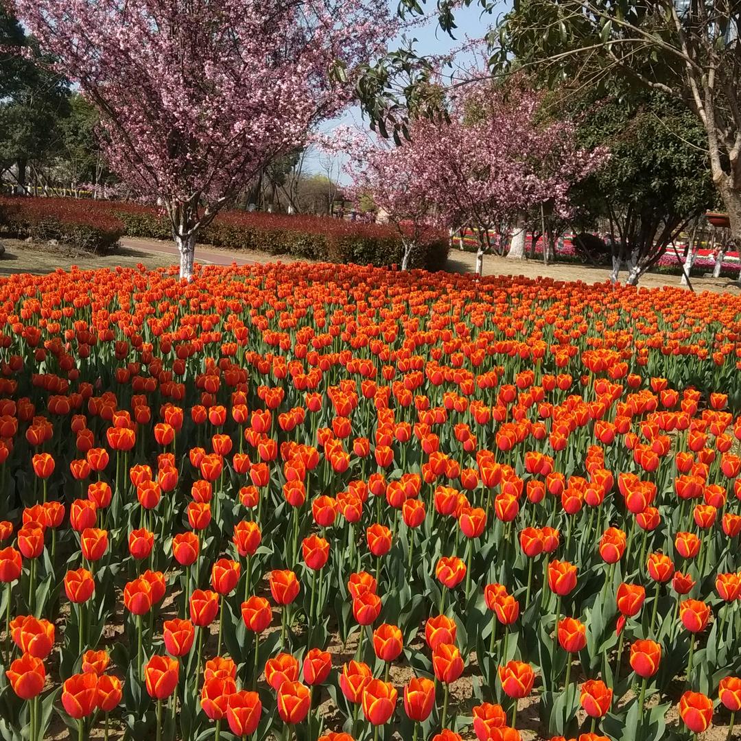 开心快乐幸福永远